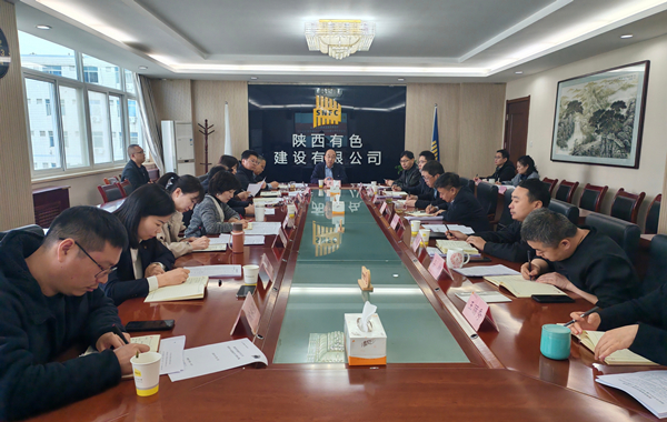 公司召開黨委理論學習中心組（擴大）學習會傳達學習全國兩會精神