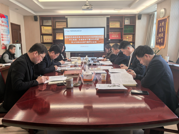 公司召開黨委理論學習中心組集中學習暨2025年度民主生活會會前專題學習研討會議